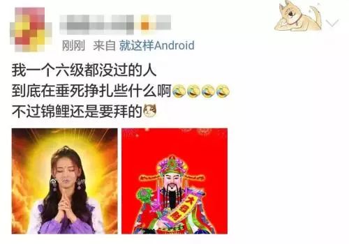 1539582338556786.jpg 微信圖片_20181015133712.jpg