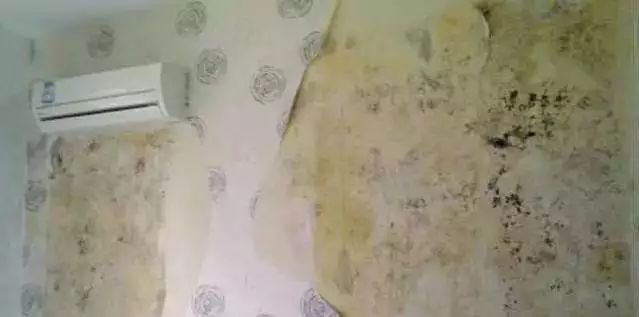 1567406093752881.jpg 微信圖片_20190902140221.jpg