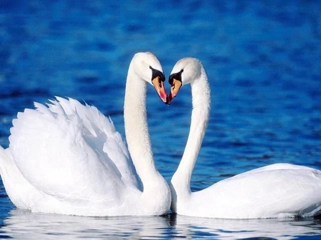 1574661340874853.jpg 微信圖片_20191125135411.jpg